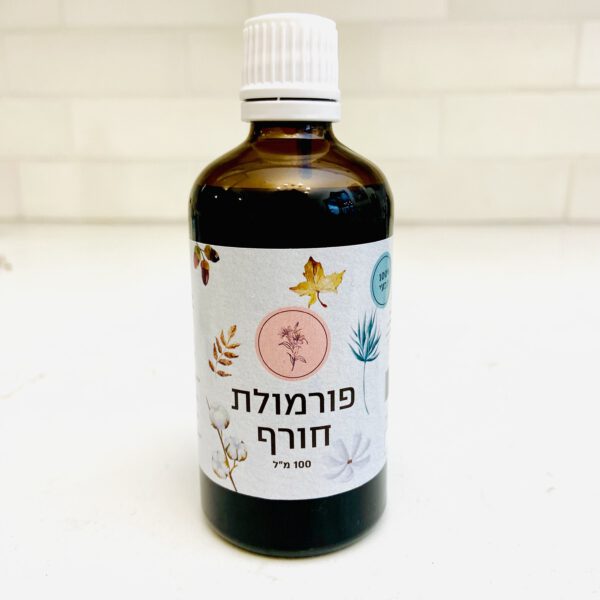 פורמולת חורף 2